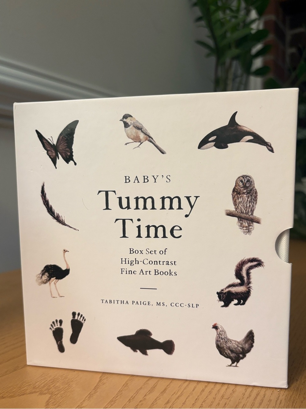 Baby's Tummy Time Box Set by Tabitha Paige